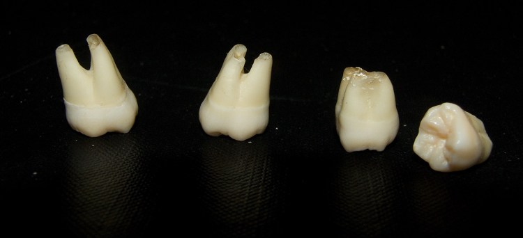 2516414749_a21bf2dfe0_h